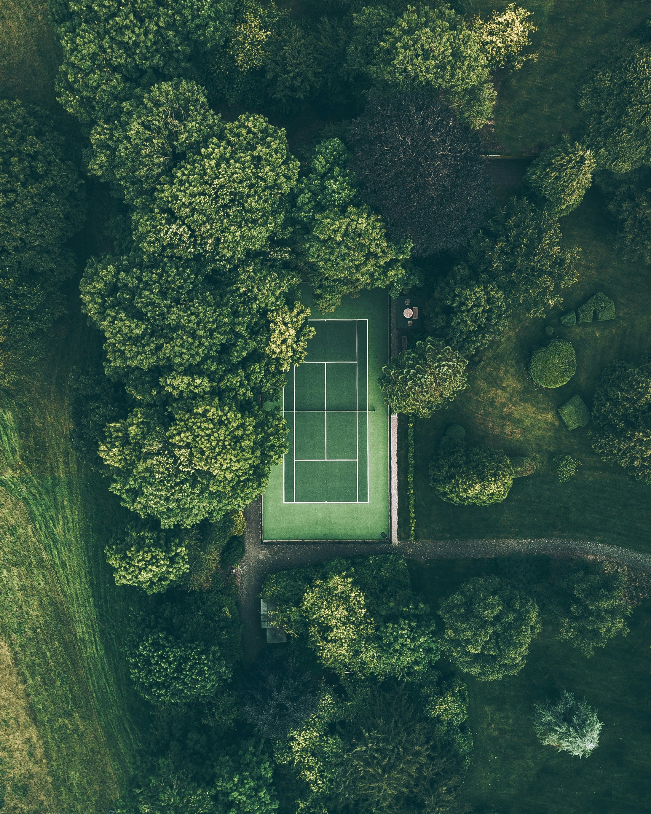 ryan-searle-qjrjJnFypa0-unsplash.jpg