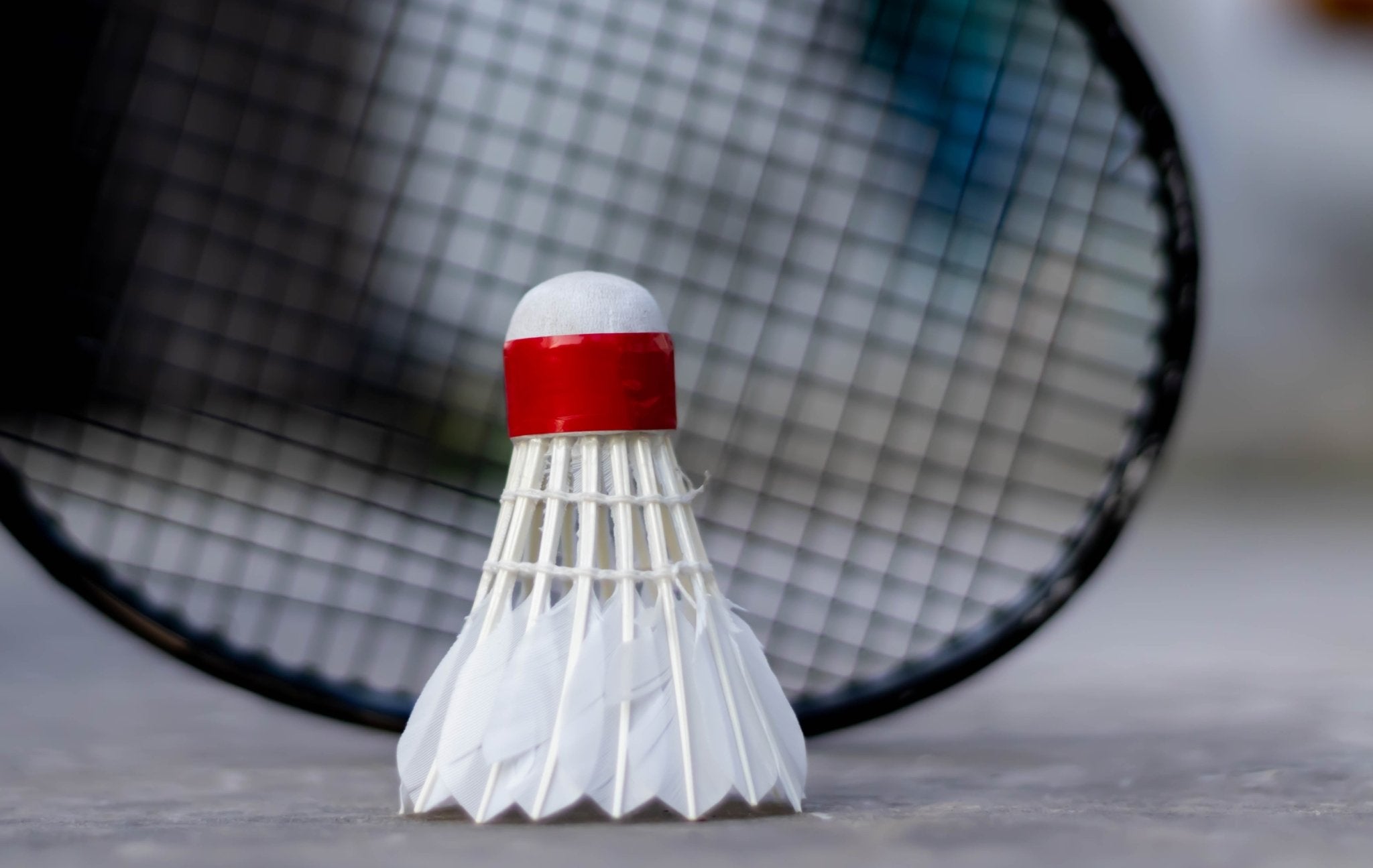 The Ultimate Gift Guide for Racquet Sports Enthusiasts - Gem Sports