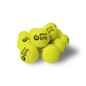 Gem Sports GOLD Professional Tennis Training Balls 60PCS - Gem Sports