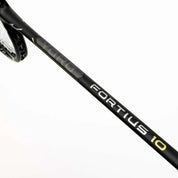 MIZUNO FORTIUS 10 (Black/Gold) 4U/G6 Badminton Racquet – Unstrung & Free Grip - Gem Sports